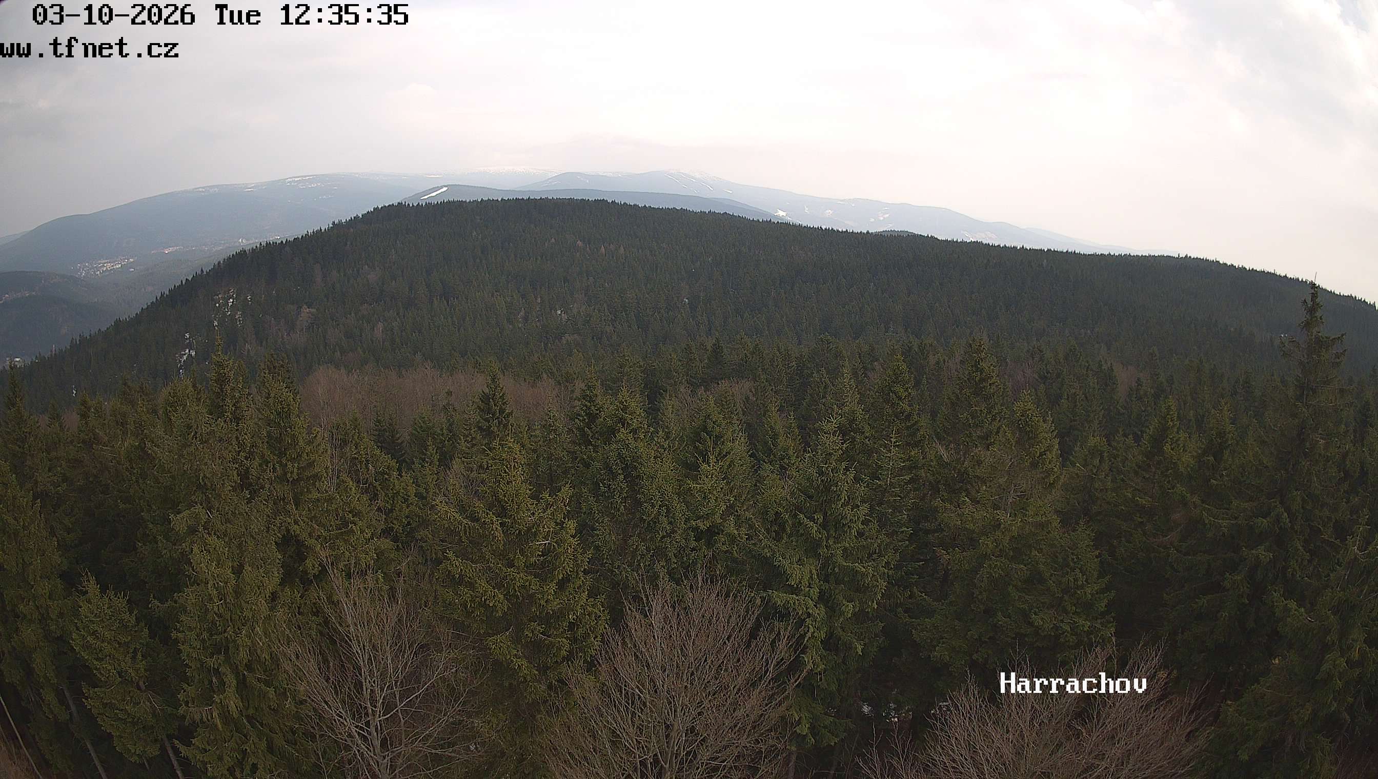 Webkamera Štěpánka