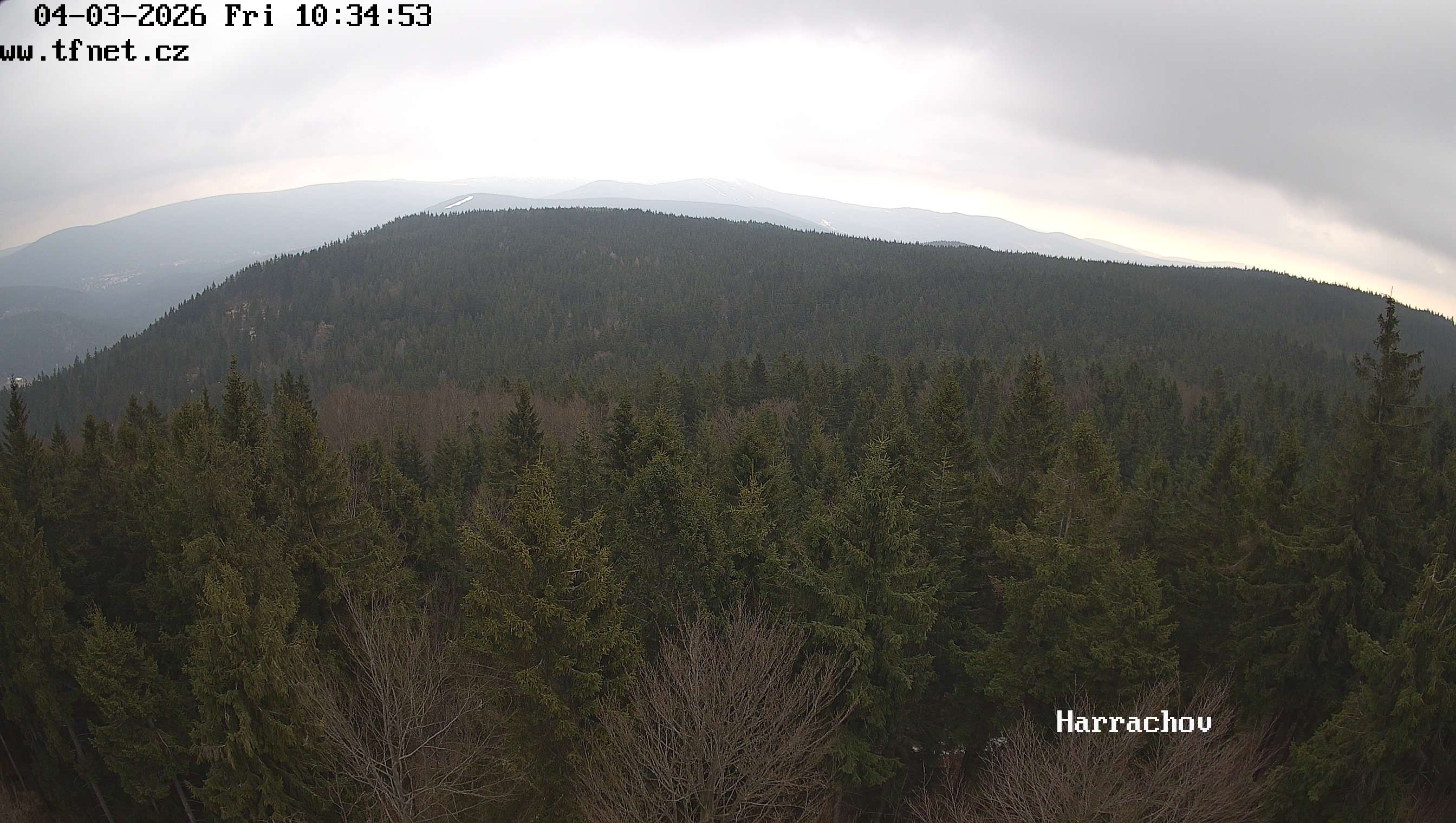 Webkamera Štěpánka