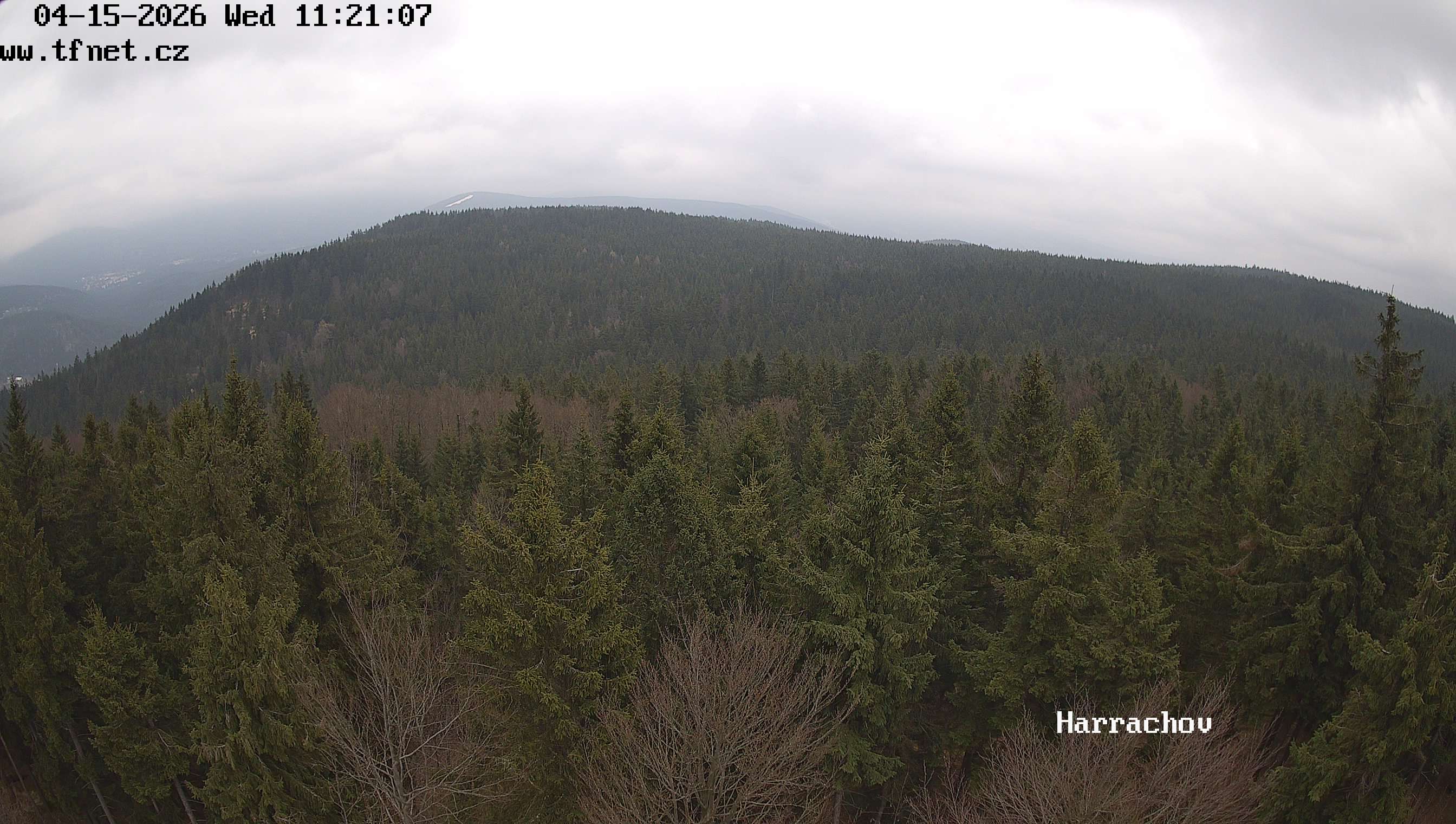 Webkamera Štěpánka