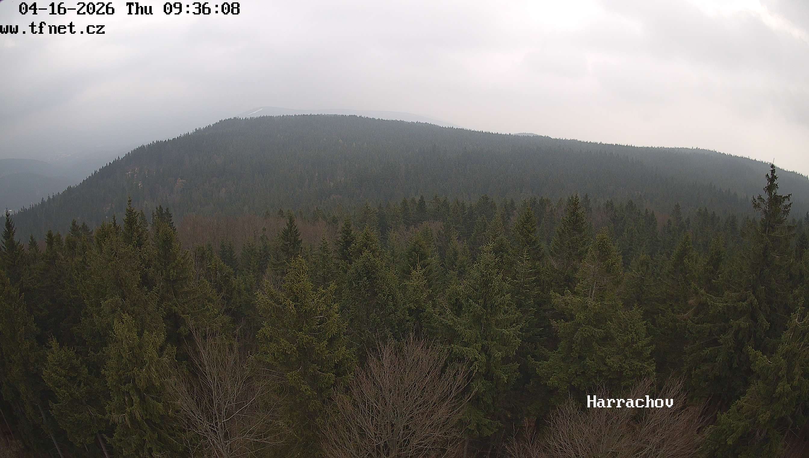 Webkamera Štěpánka