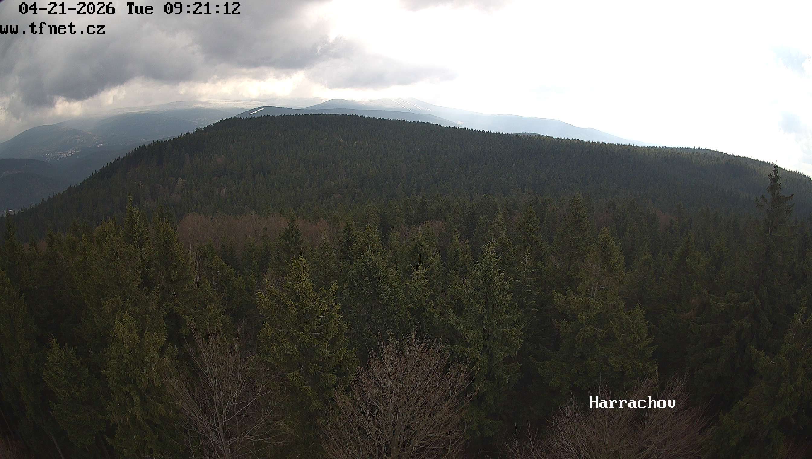 Webkamera Štěpánka