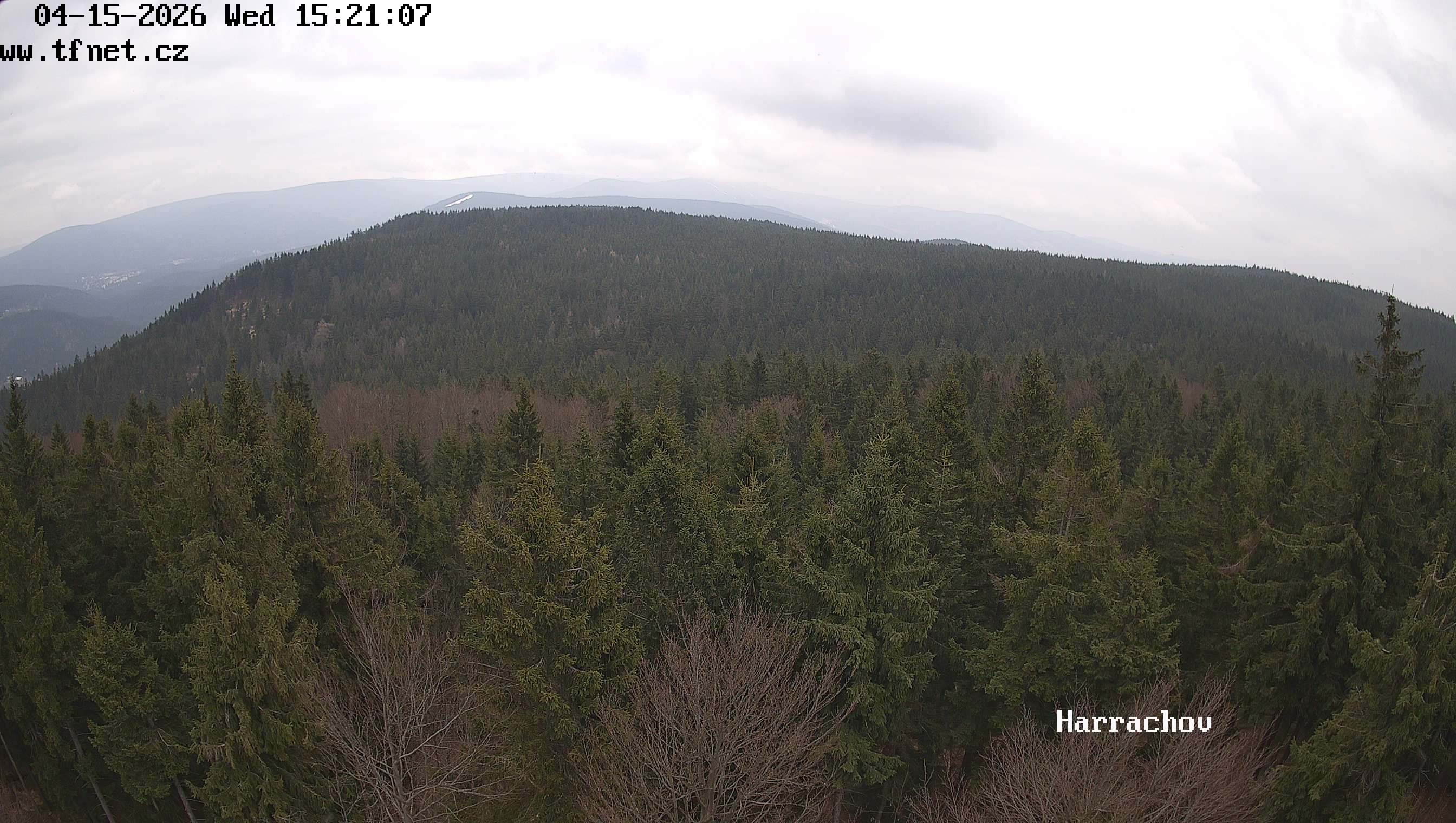 Webkamera Štěpánka