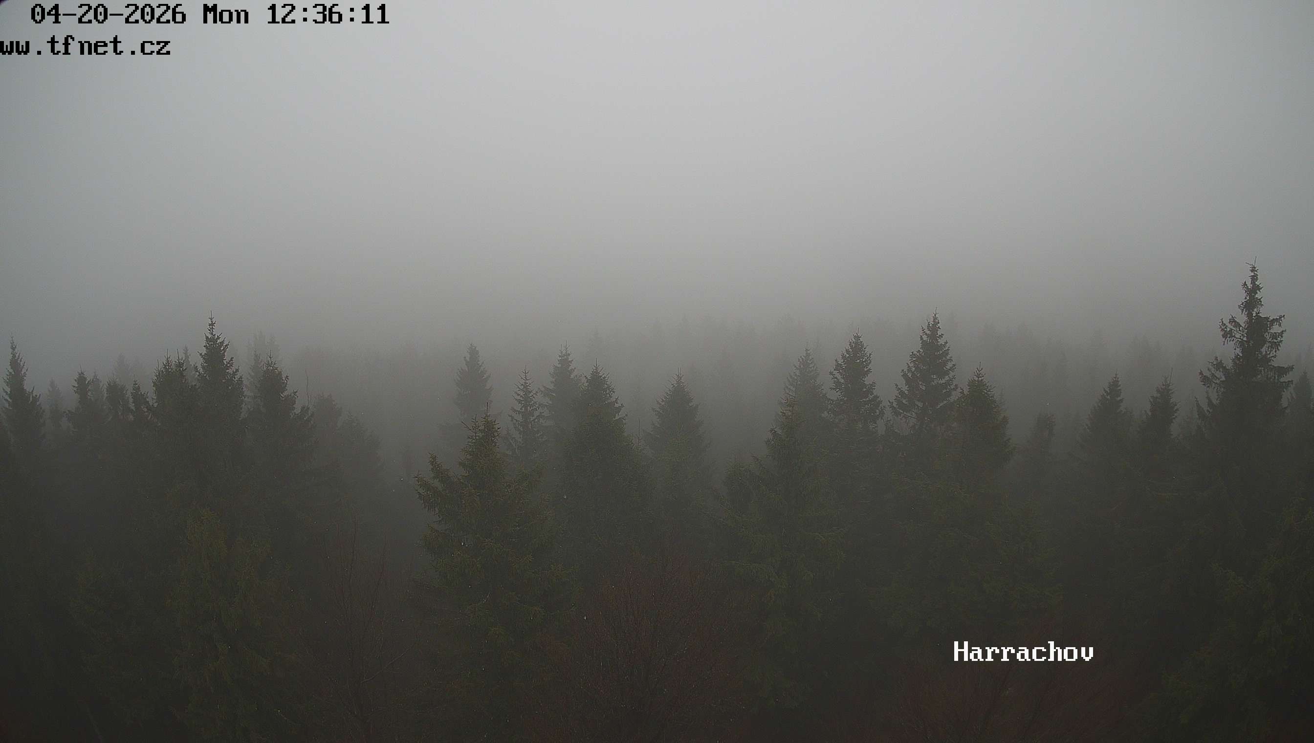 Webkamera Štěpánka