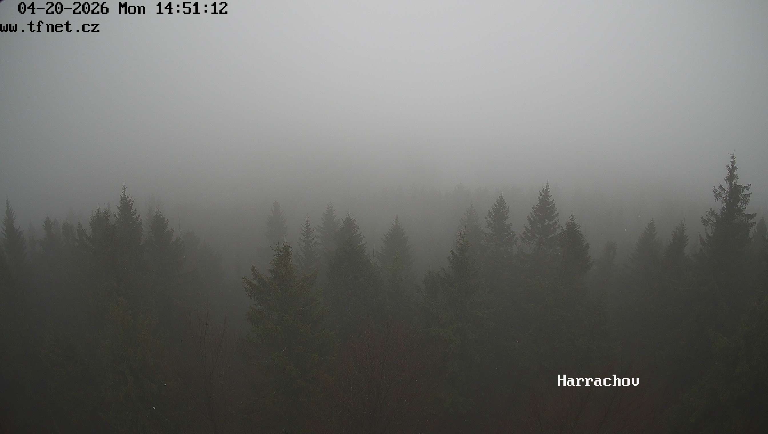 Webkamera Štěpánka