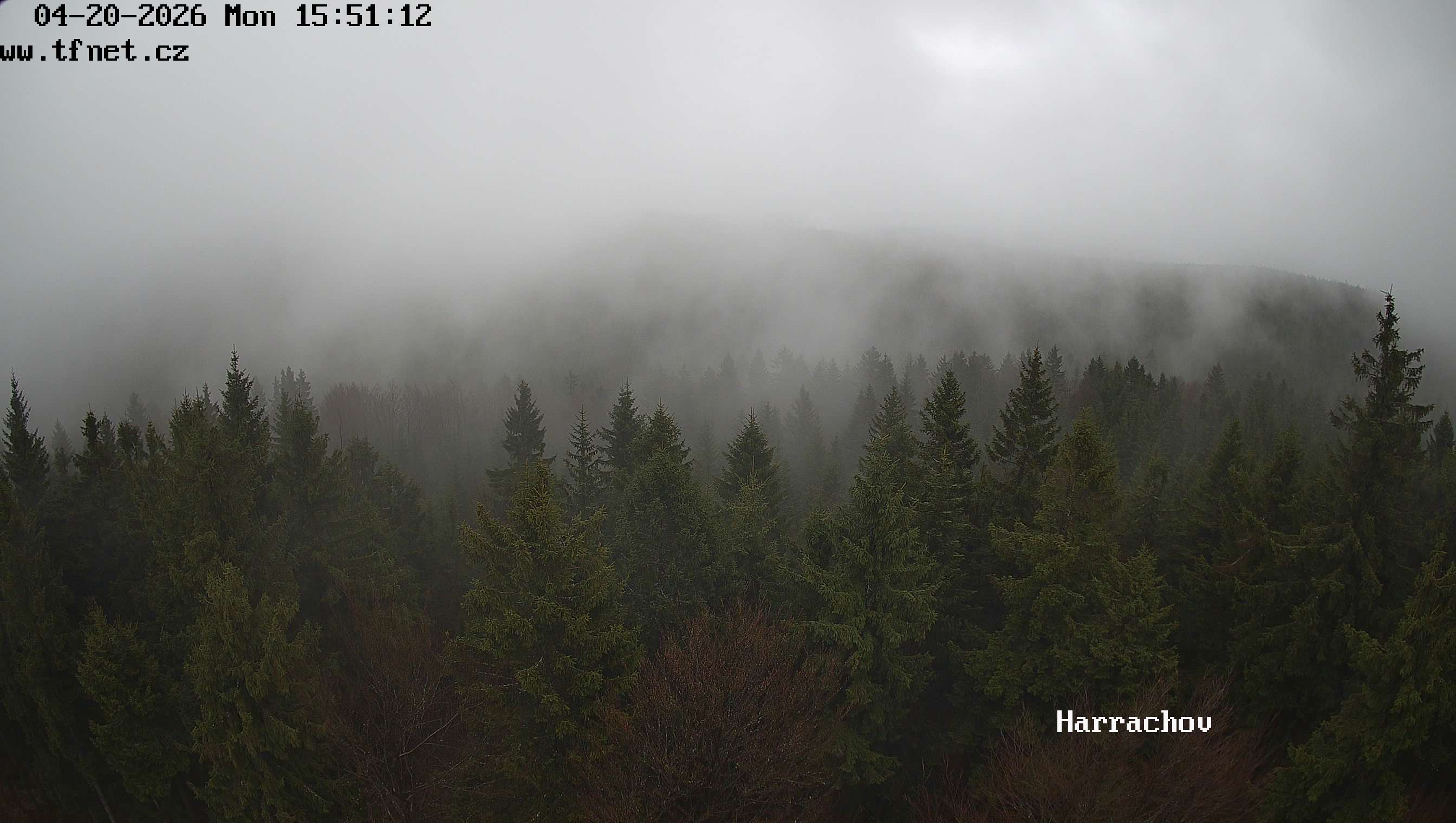 Webkamera Štěpánka