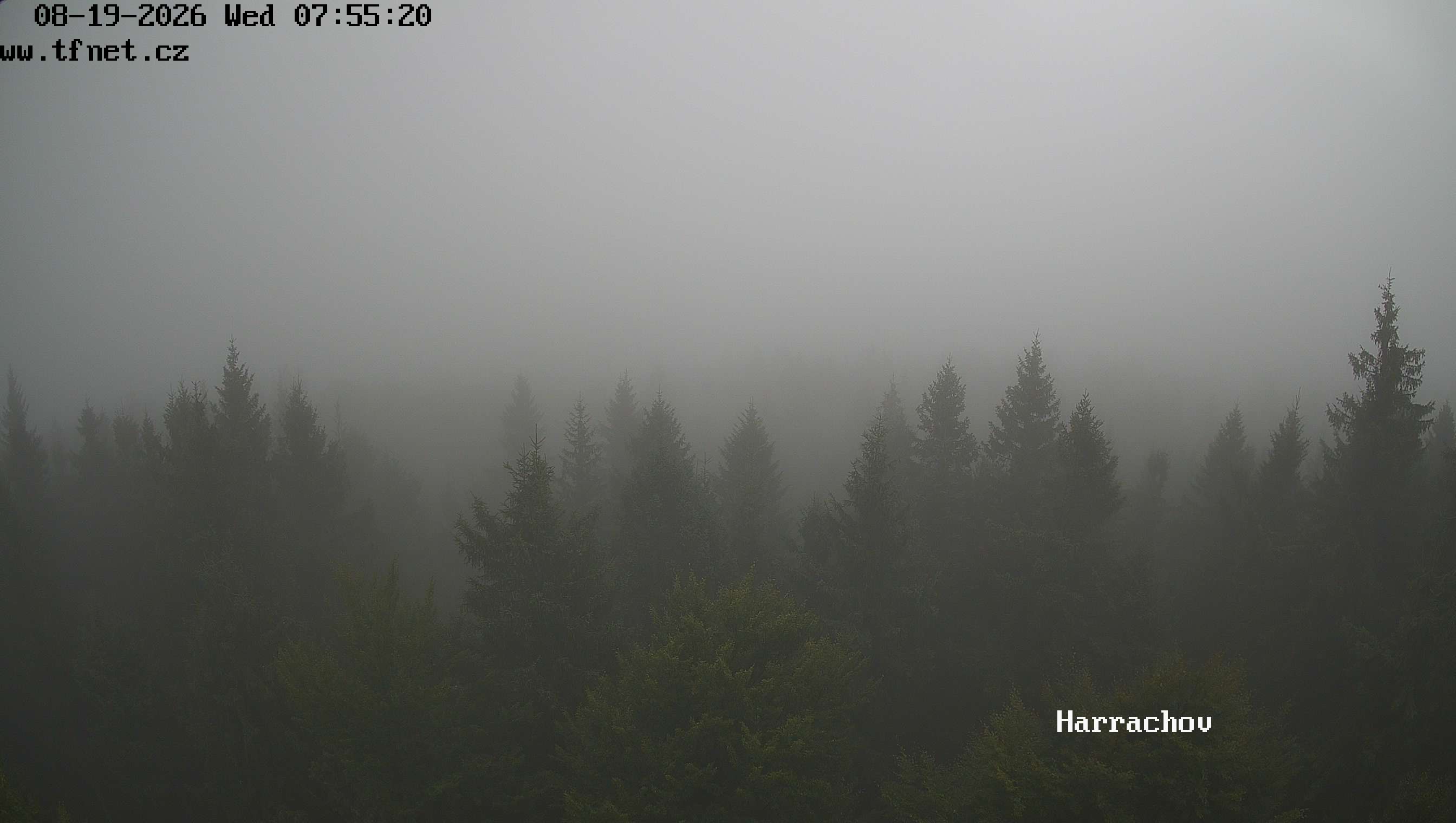 Kamera č. 1: Panorama Krkonoš – aktuální snímek